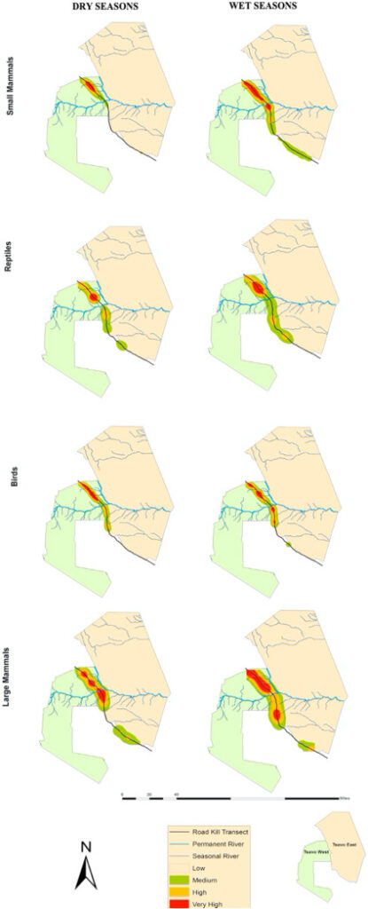 road kills of tsavo east mammals