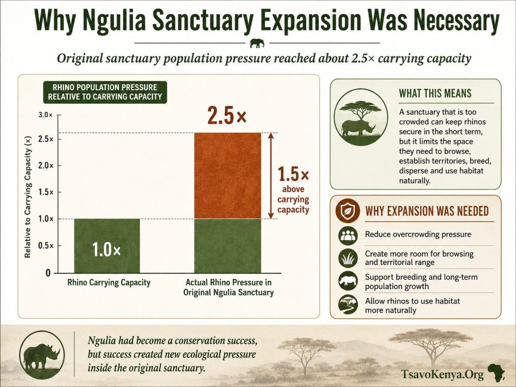 Ngulia sanctuary was already about 2.5 times over its rhino carrying capacity.
